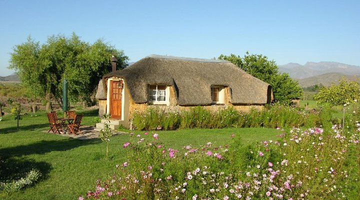 Reed's Country Lodge