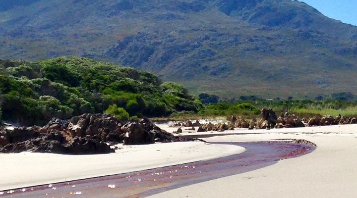 Pringle Bay Beach House