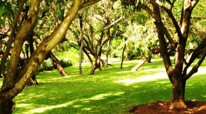 Thaba ya-Metsi Country Estate