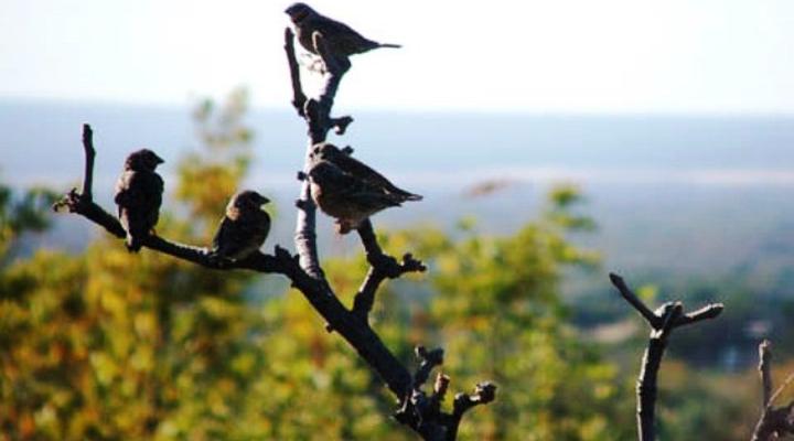 Thaba ya-Metsi Country Estate