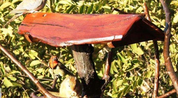 Thaba ya-Metsi Country Estate