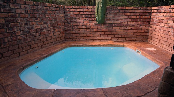 4294 Impala Marloth Park 