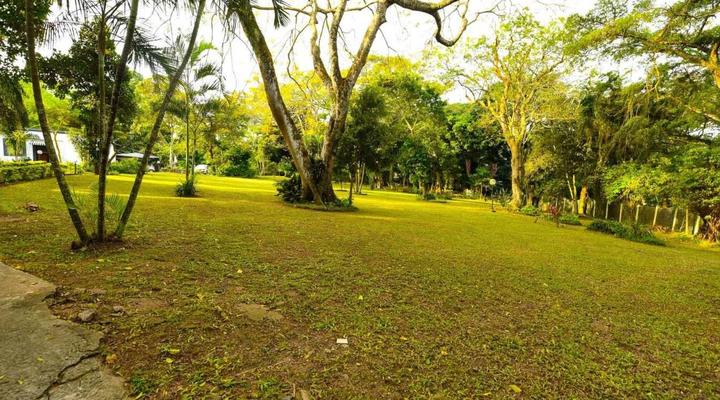 Fern Gully Self Catering Accommodation