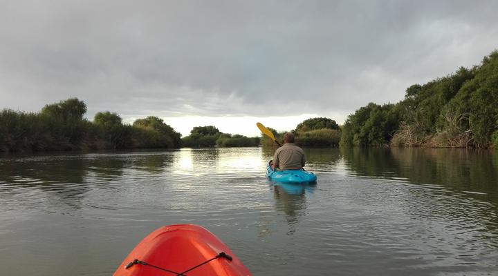 Orange Vineyard Guestfarm