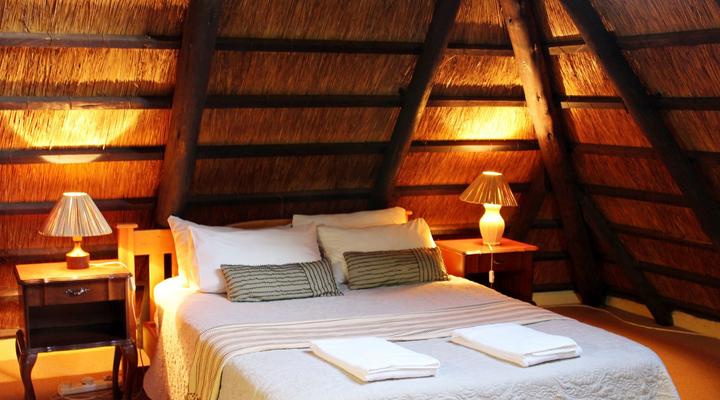 Treks, Trips & Trails