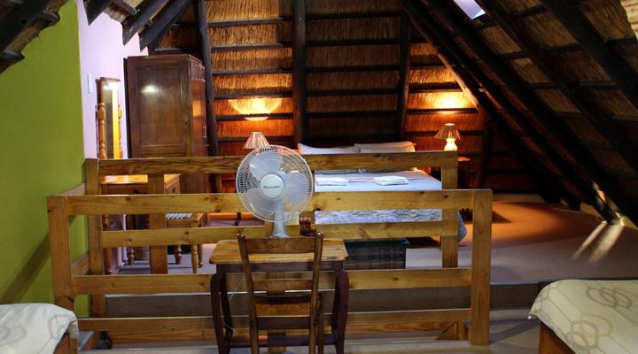 Treks, Trips & Trails