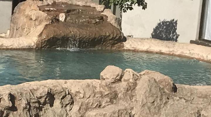 Island Boutique Lodge