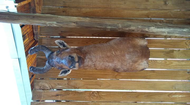 De Plaas Guest House