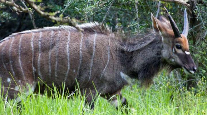 Aloe Grove Guest Farm