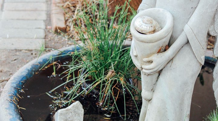 Yellowood Accommodation