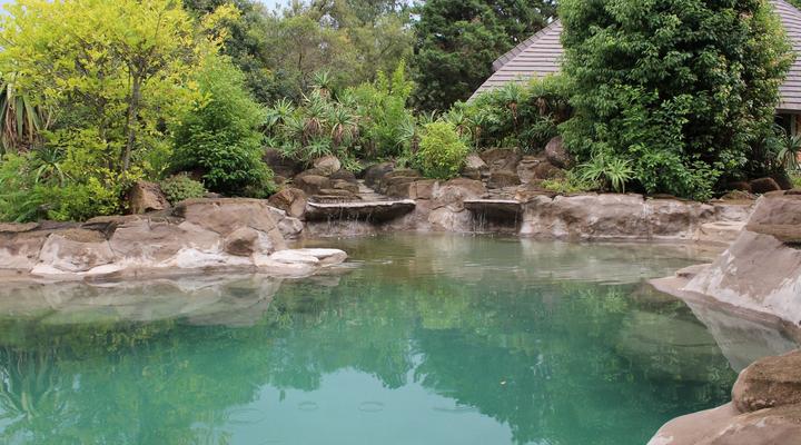 Treks, Trips & Trails