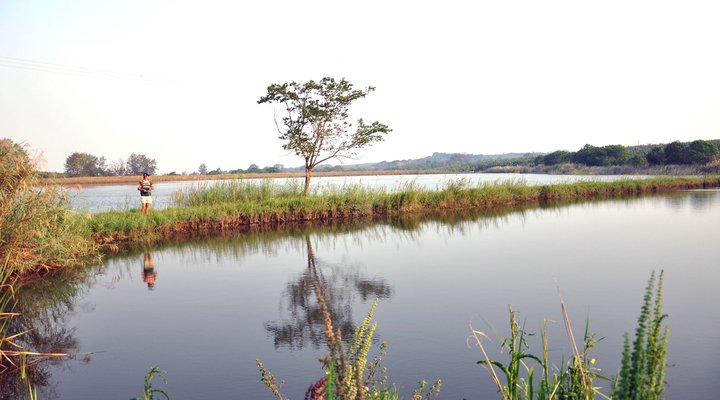 Poinsettia Family Cottage