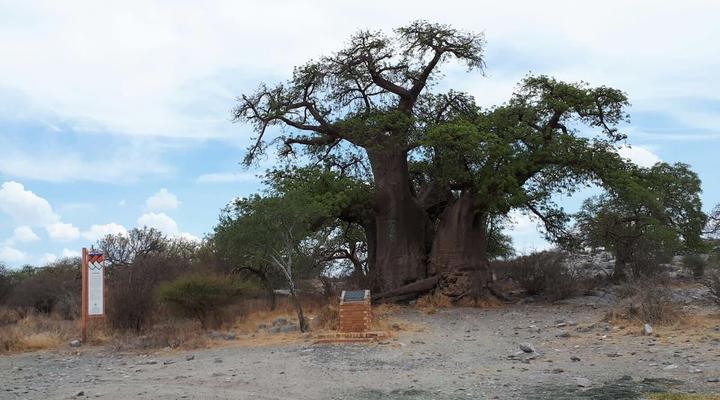 Makgadikgadi Adventure Camp