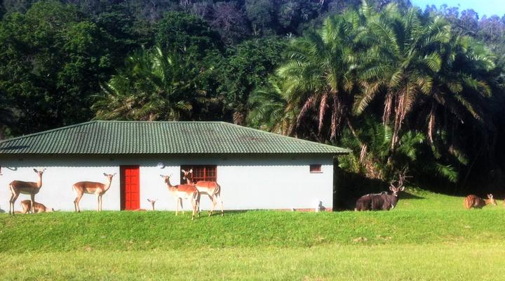 River Valley Nature Reserve 