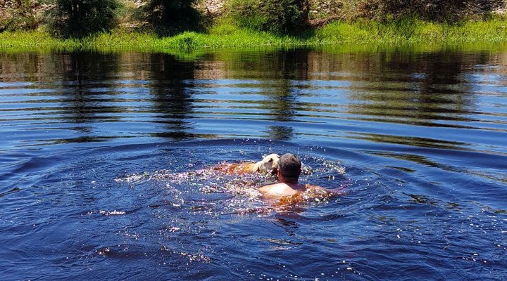 Deo Volente Guest Farm