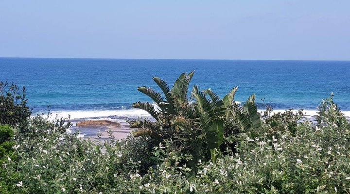 19 Bondi Beach, Shelley Beach