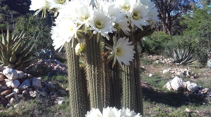 Kraaldoorn Farm Cottage