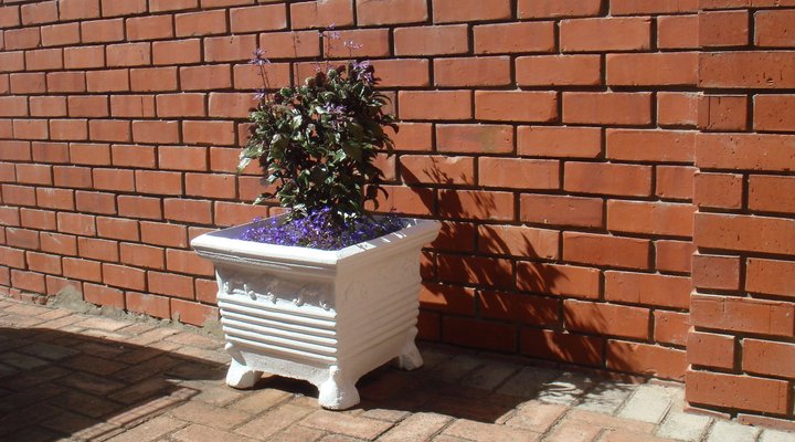 Loftwood Guest Cottage