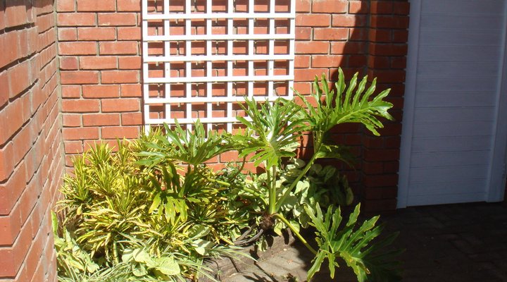 Loftwood Guest Cottage