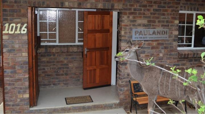 Paulandi - Leeupoort