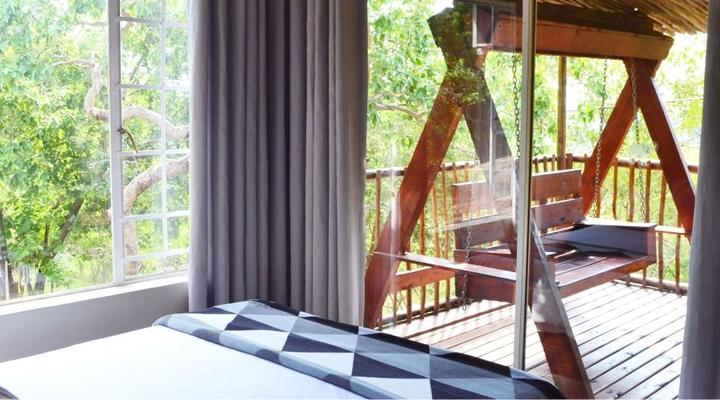 Paulandi - Leeupoort