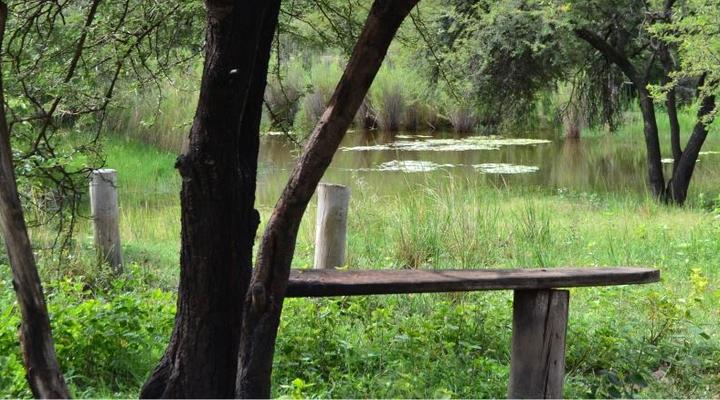 Paulandi - Leeupoort