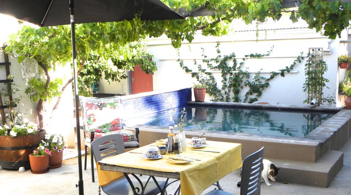 Daisy Darling Bed & Breakfast