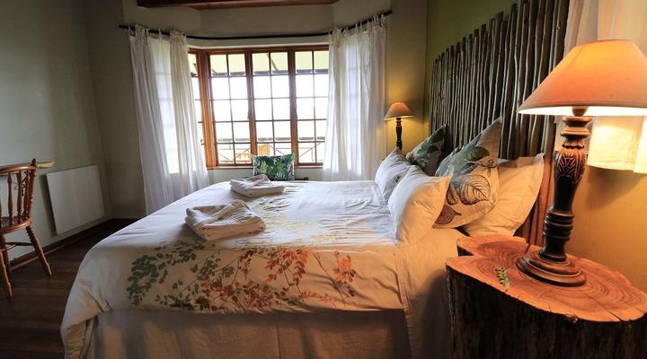 Lazy Leopard Forest Retreat