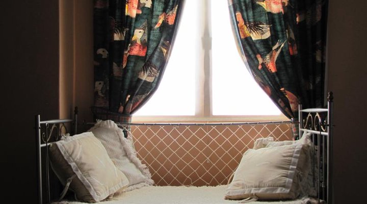 Hibiscus House Bed and Breakfast