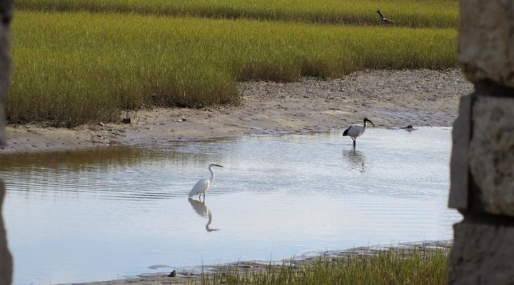 Hibiscus House Bed and Breakfast