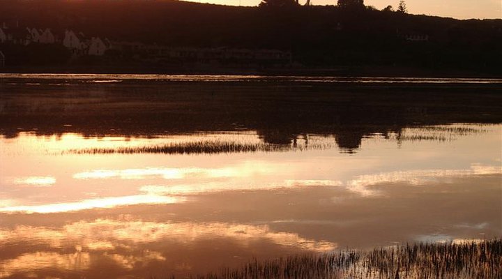Hibiscus House Bed and Breakfast
