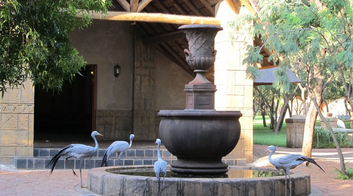 Pure Joy Lodge