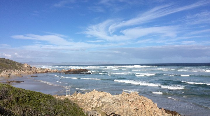 Brower Holiday House