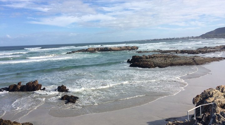 Brower Holiday House