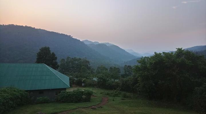 Gorilla Conservation Camp