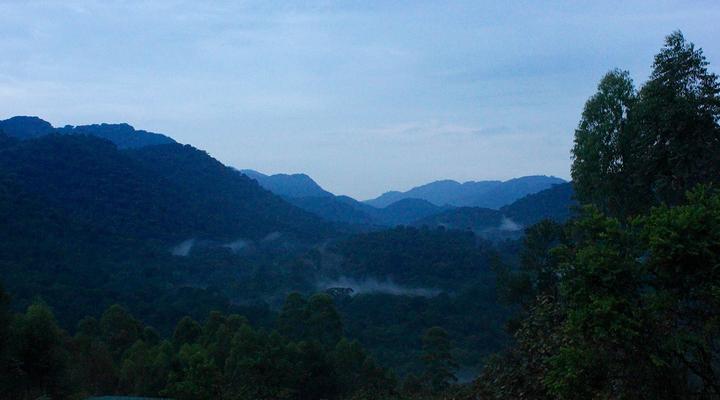 Gorilla Conservation Camp