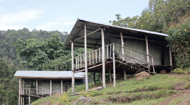Gorilla Conservation Camp