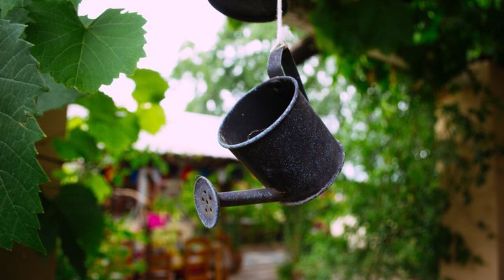 Anna Sophia Self-catering Cottages