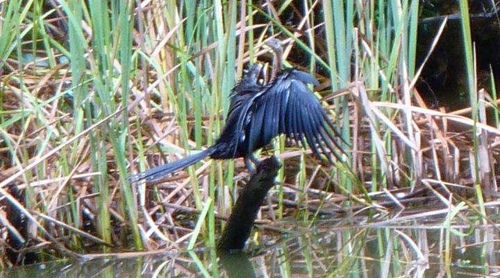 Ladismith Country House: Spiritual Retreat & Guesthouse