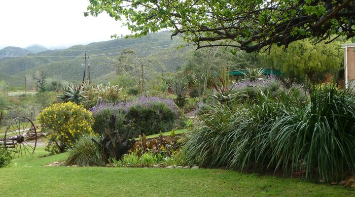 Ladismith Country House: Spiritual Retreat & Guesthouse