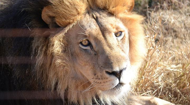 Tava Lingwe Game Lodge & Wedding Venue