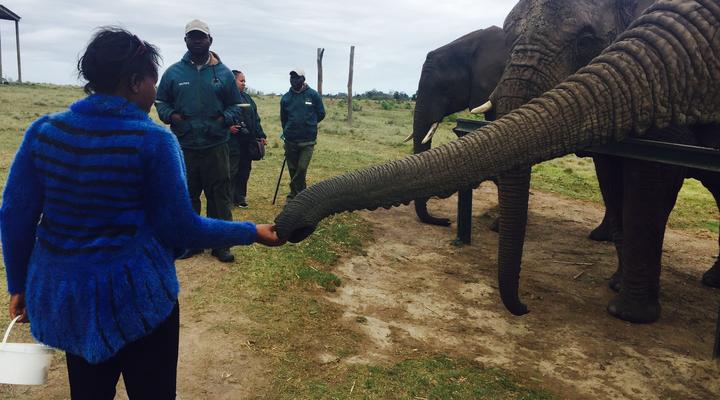 Florine Home Accommodation