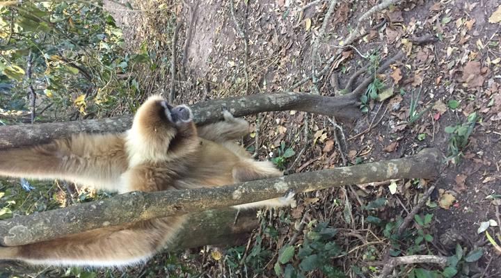 Florine Home Accommodation