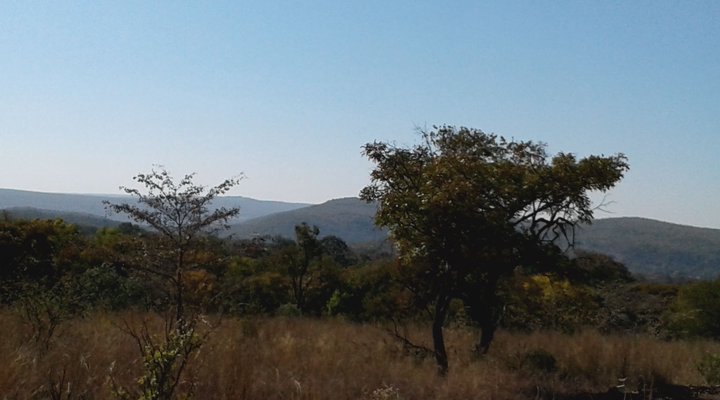 Five Pebbles on Piece of Africa