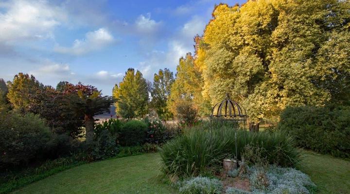 Amber Avenue Guest Farm