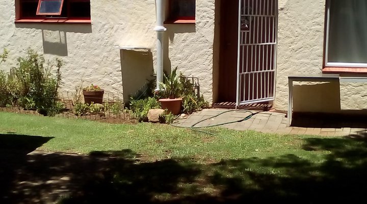3 Lavenders