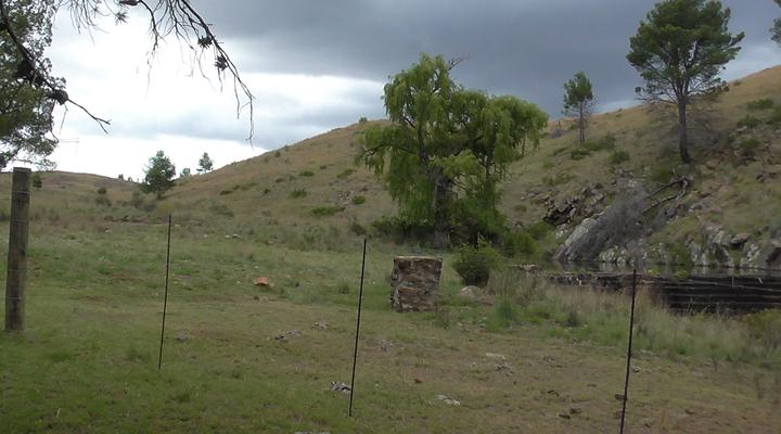 Stagger Inn Game Lodge