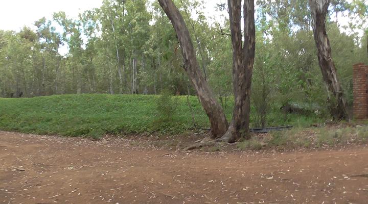 Stagger Inn Game Lodge