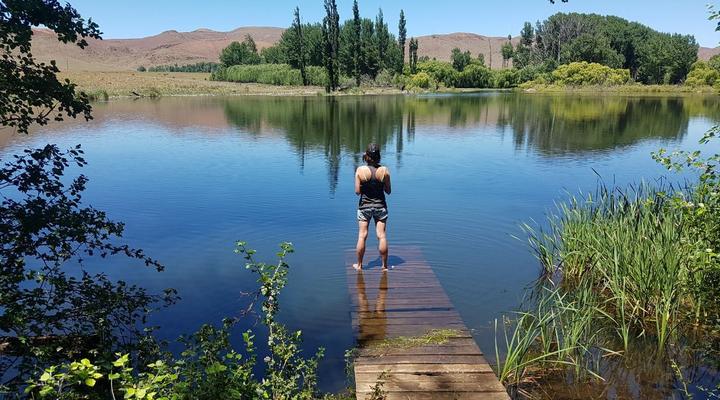 Stagger Inn Game Lodge