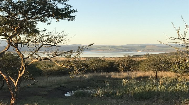 Khaya Inyoni
